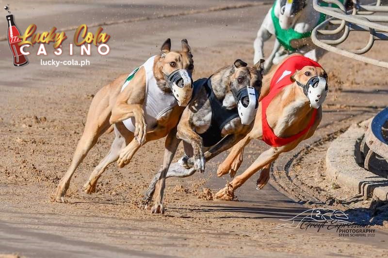 Phlwin Greyhound Racing Tuklasin ang Isang Epikong Kwento ng Pag ibig Lucky Cola