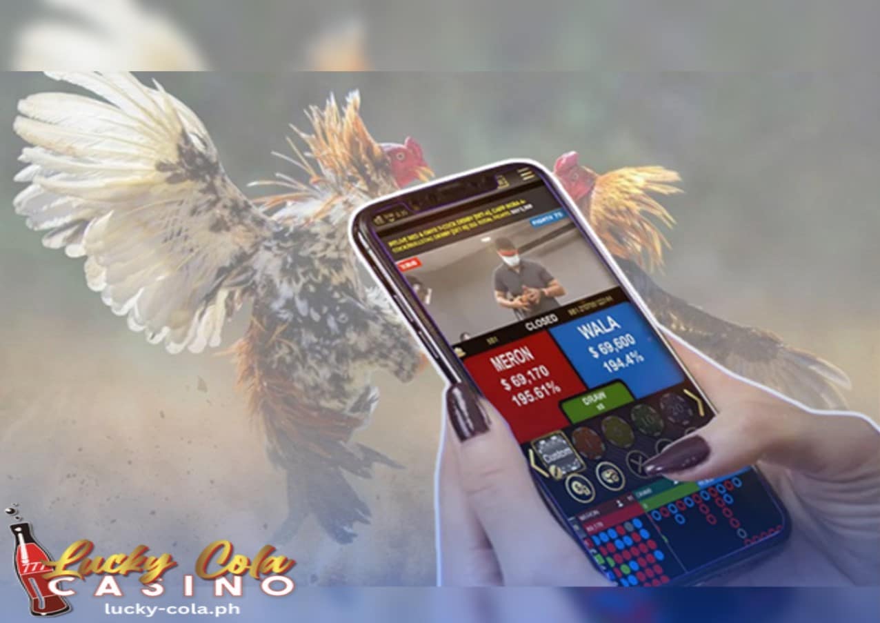 Isang kamay ng babae na naglalaro ng online sabong sa kanyang cellphone habang nagpapakita naman ng gilas sa backround ang dalawang manok na nagtatalo.